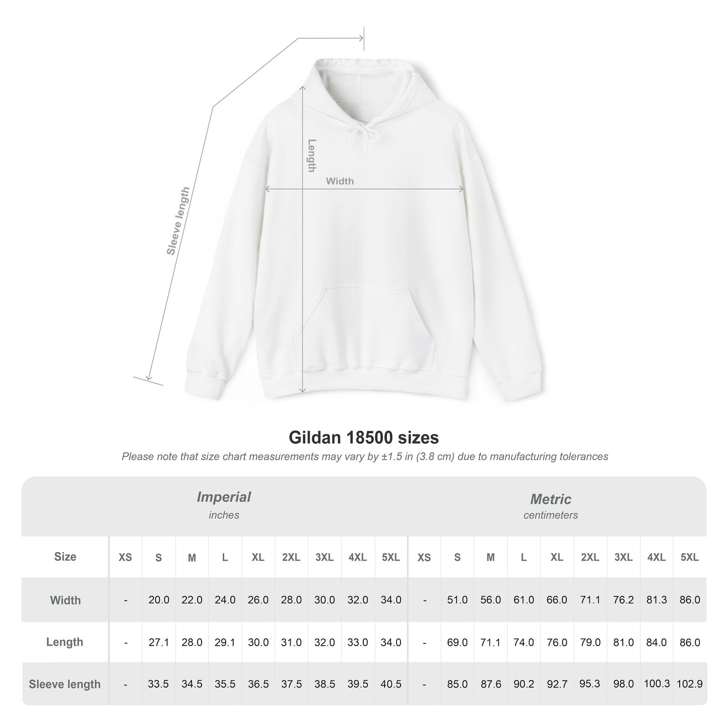 Chasing Sunsets & Collecting Seashells Hoodie