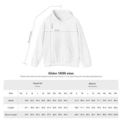 Chasing Sunsets & Collecting Seashells Hoodie