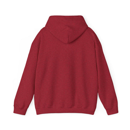 USA Cozy Heavy Blend Hoodie