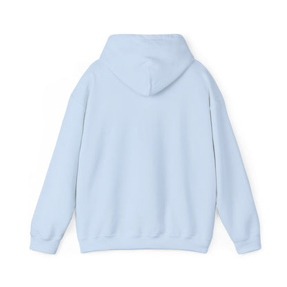 USA Cozy Heavy Blend Hoodie