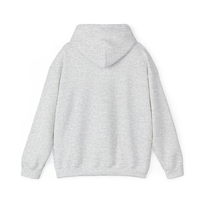 USA Cozy Heavy Blend Hoodie