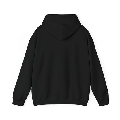 USA Cozy Heavy Blend Hoodie